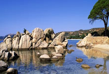 世界杯买球网站 -马斯克xAI发电厂噪音堪比喷气式飞机，遭居民集体抗议