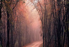 世界杯买球软件 -細(xì)節(jié)曝光：为防止以(yǐ)色列袭击，巴基斯坦出动20多架喷气式飞机，护送伊朗代表