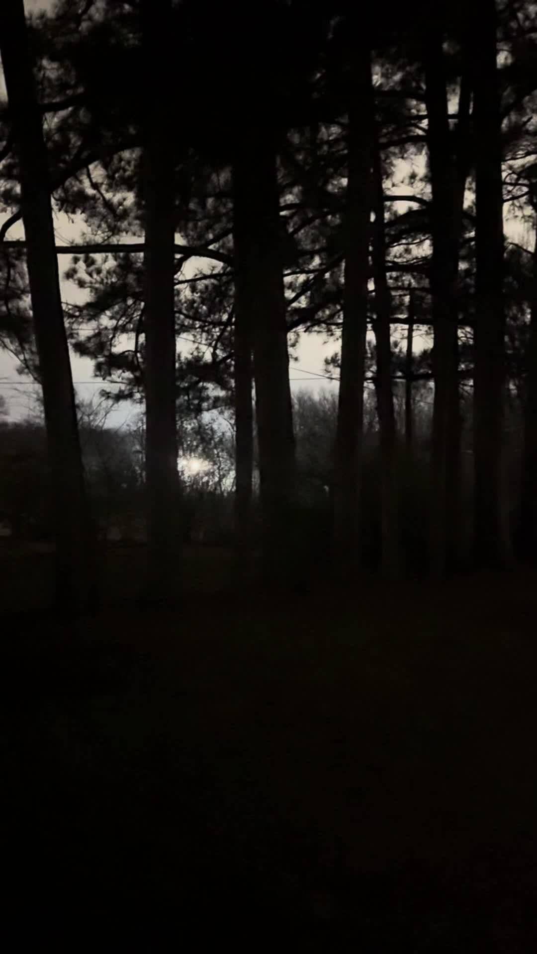 马斯克xAI发电厂噪音堪比喷气式飞机，遭居民集体抗议